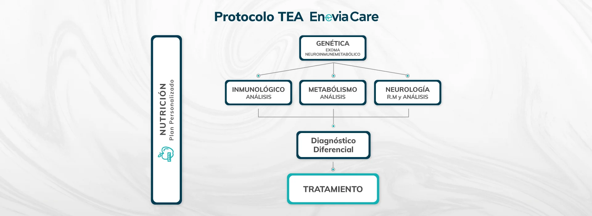 Esquema de tratamiento de Autismo horizontal 2